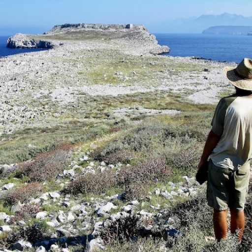 When the Wine is Bitter